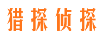 桃城侦探公司